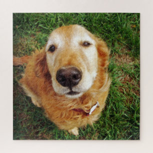 Who's a Good Boy? Jigsaw Puzzle