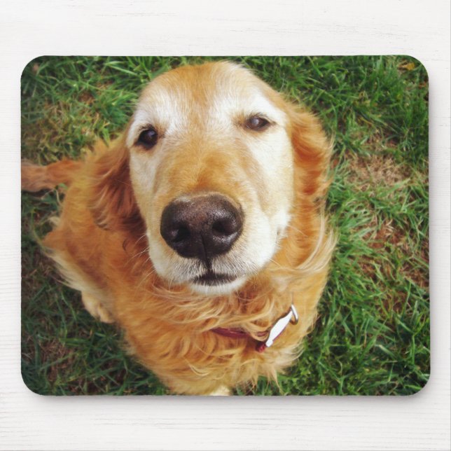 Who's a Good Boy Mouse Pad (Front)