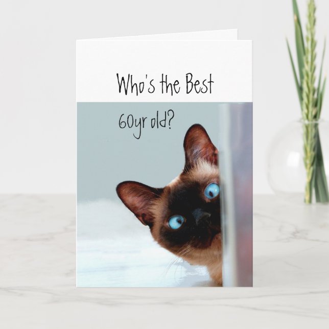 Who's the best 60yr old? Cat Kitten Humour Card (Front)
