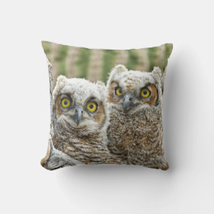 Who's there, Pair of Owl's Cushion