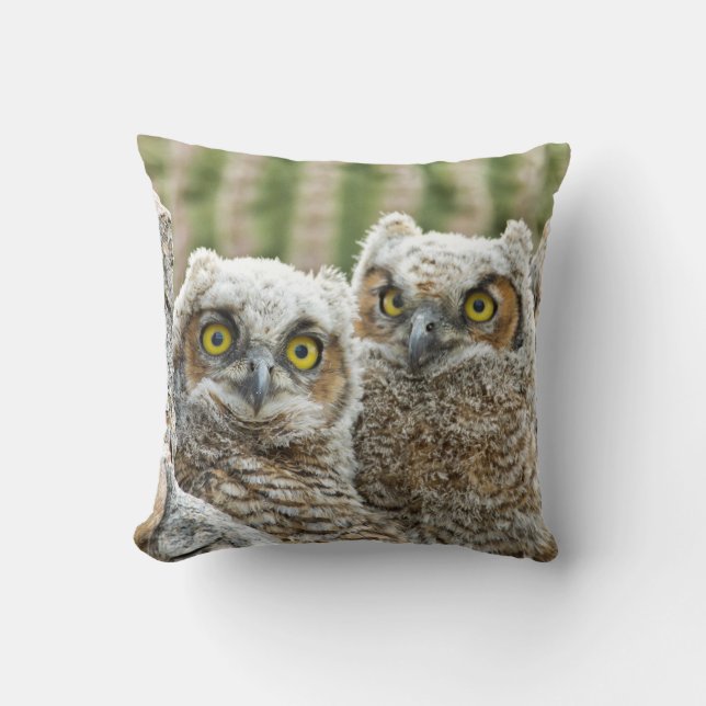 Who's there, Pair of Owl's Cushion (Front)