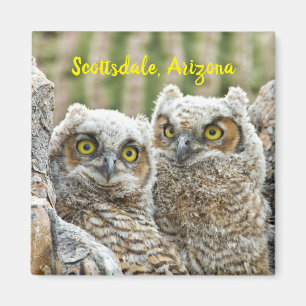 Who's there? Pair of Owl's Scottsdale, Arizona  Ma Magnet