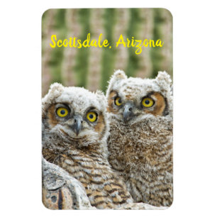 Who's there? Pair of Owl's Scottsdale, Arizona Magnet