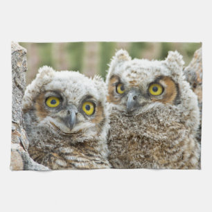 Who's there, Pair of Owl's Tea Towel