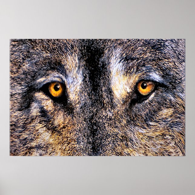 Who's Watching Poster (Front)