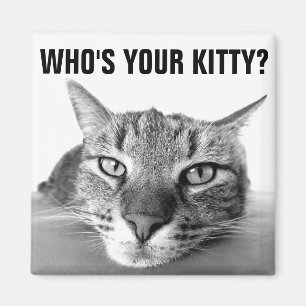 Who''s your kitty? Magnets, Tabby Magnet