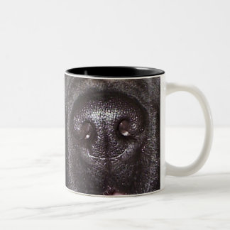 Whose nose where this mug has been !
