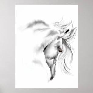 Whte Horse Head Poster