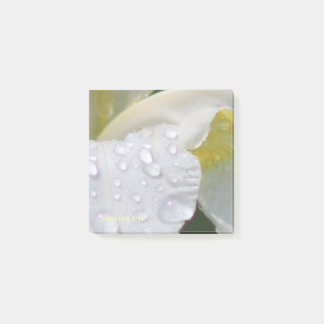 Whtie Siberian Iris Rain Drops Post-it Notes