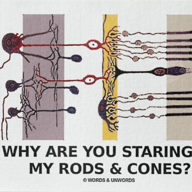 Why Are You Staring At My Rods & Cones? Jigsaw Puzzle (Jigsaw puzzle for anyone into anatomical attitude at the eye level)