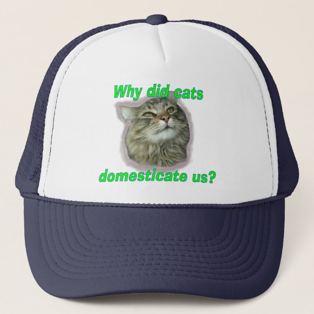 Why did cats domesticate us? trucker hat (Front)
