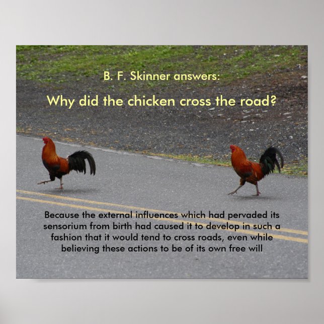 Why Did The Chicken Cross? - (small) poster (Front)