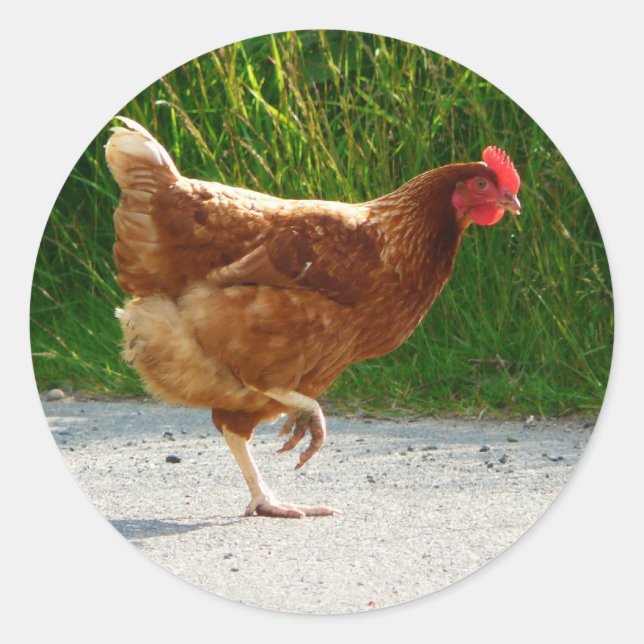 Why did the Chicken Cross the Road? Classic Round Sticker (Front)