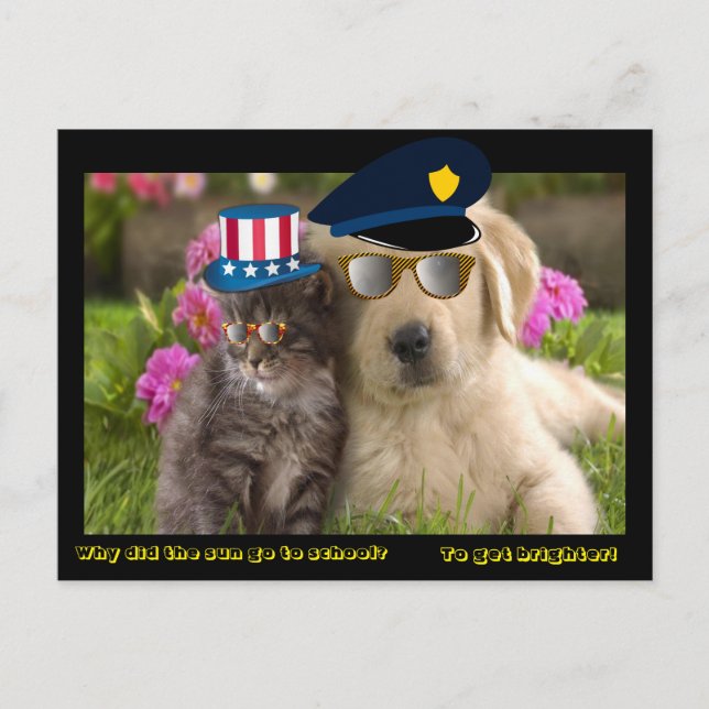 Why did the sun go to school postcard (Front)