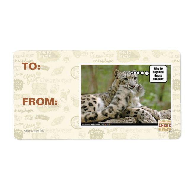 Why do dogs find this so difficult? (Front)