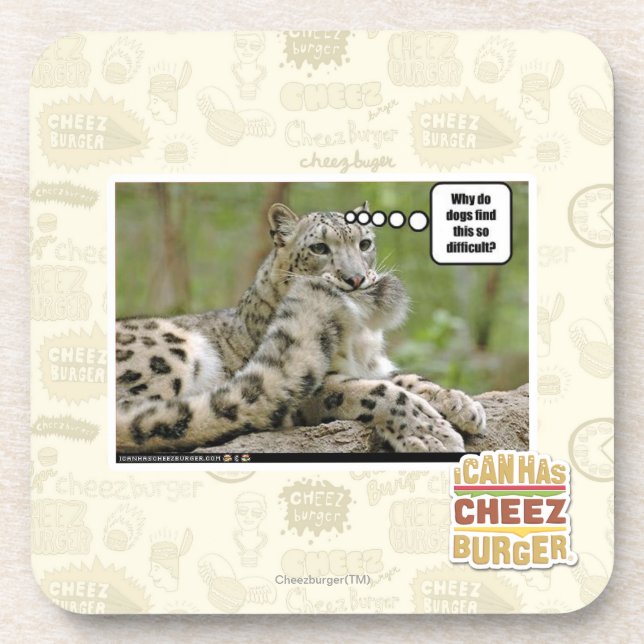 Why do dogs find this so difficult? coaster (Front)