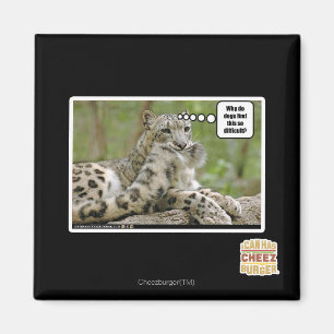 Why do dogs find this so difficult? magnet