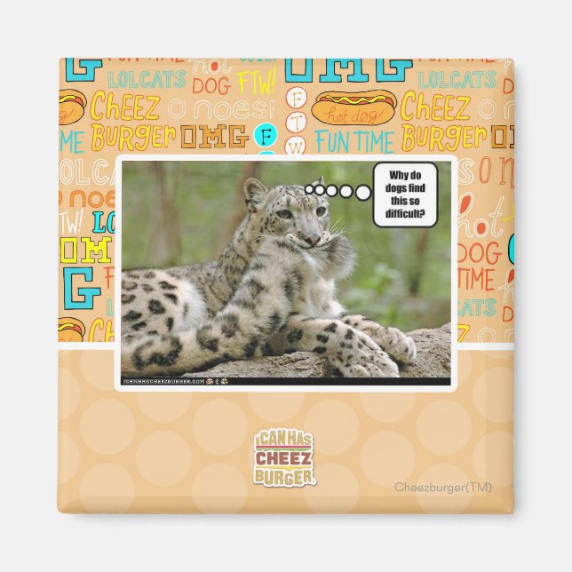 Why do dogs find this so difficult? magnet (Front)