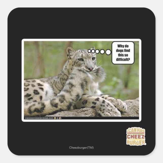 Why do dogs find this so difficult? square sticker (Front)