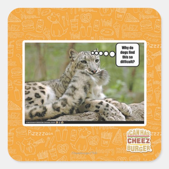 Why do dogs find this so difficult? square sticker (Front)