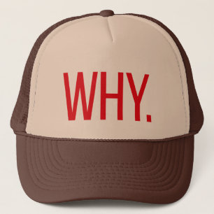 WHY. fun slogan trucker hat