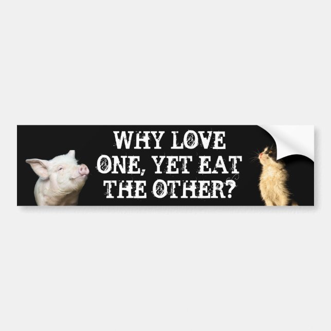 Why love one, yet eat the other? Cat/Pig Bumper Sticker (Front)