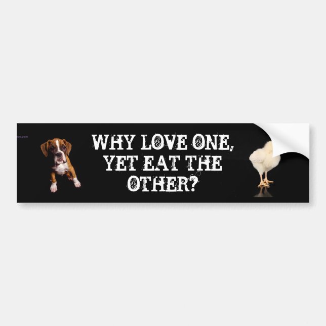 Why Love one yet eat the other-Puppy, Chick Bumper Sticker (Front)