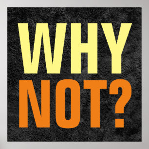 Why Not Possibilities Inspirational Grey Poster