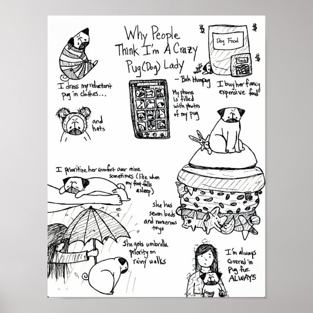 Why People Think I'm A Crazy Pug Lady Poster (Front)