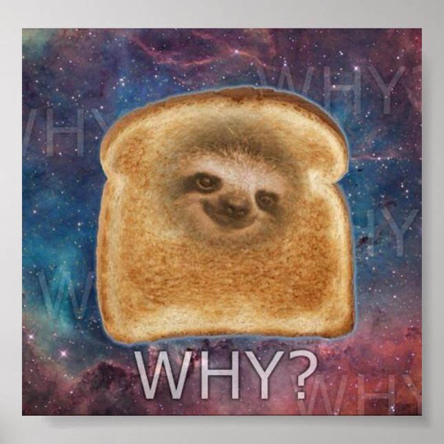 Why Sloth Poster (Front)