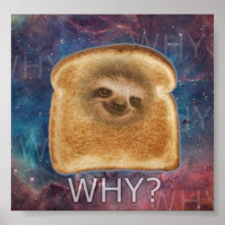 Why Sloth Poster