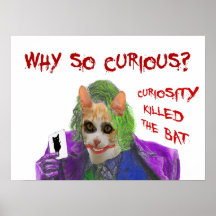 Why so Curious? - Crazy Clown Cat