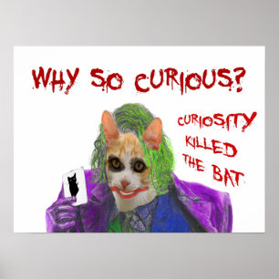 Why so Curious? - Crazy Clown Cat Poster