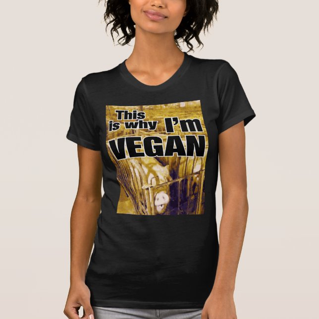Why Vegan (Women's) T-Shirt (Front)