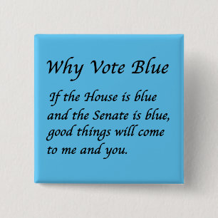 Why Vote Blue in 2022 Button