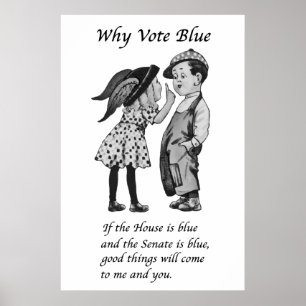 Why Vote Blue in 2022 Poster