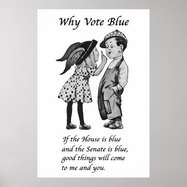 Why Vote Blue in 2022 Poster (Front)