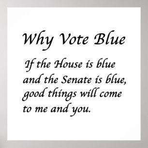 Why Vote Blue in 2022 Poster