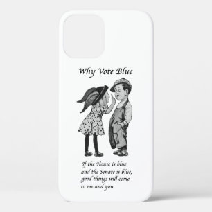 Why Vote Blue in 2024 iPhone 12 Case