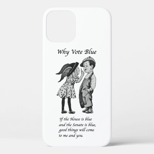 Why Vote Blue in 2024 Case-Mate iPhone Case (Back)