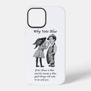 Why Vote Blue in 2024 iPhone 12 Case