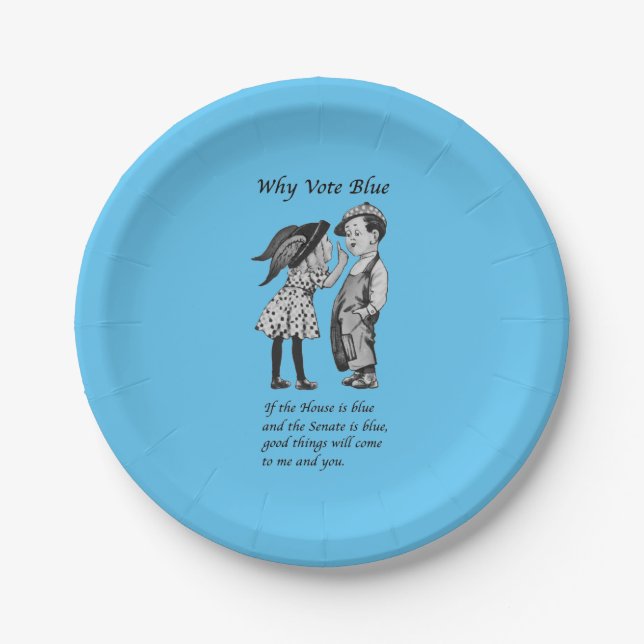 Why Vote Blue in 2024 Paper Plate (Front)