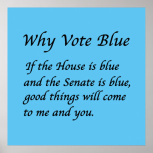 Why Vote Blue in 2024 Poster