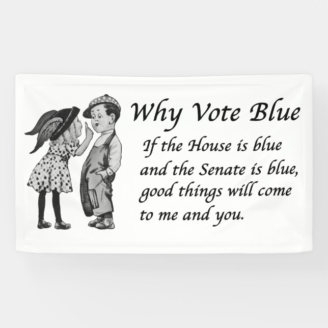 Why Vote Blue in 2026 Banner (Horizontal)