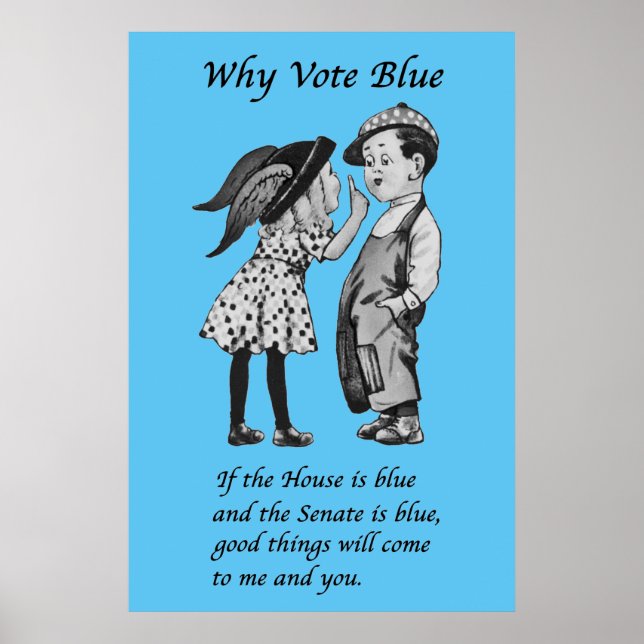 Why Vote Blue in 2026 Poster (Front)