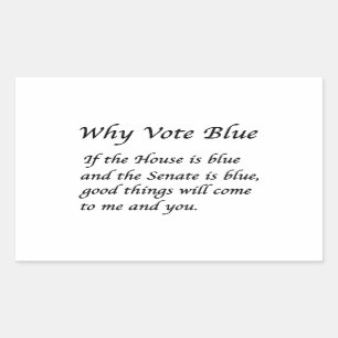 Why Vote Blue in 2026 Rectangular Sticker