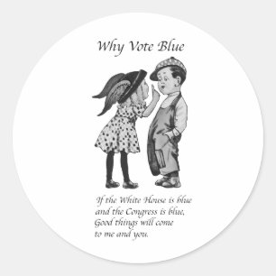 Why Vote Totally Blue in 2024 Classic Round Sticker