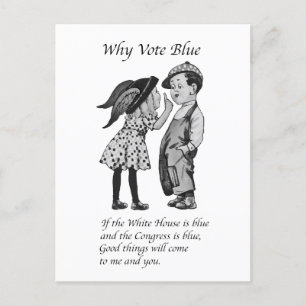 Why Vote Totally Blue in 2028 Postcard