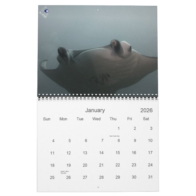 Why We Dive Calendar (Jan 2026)