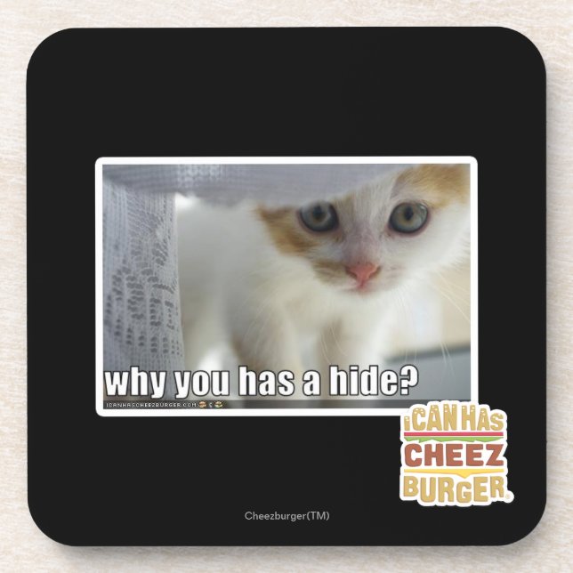 Why you has a hide? coaster (Front)